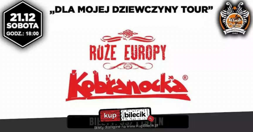 Kobranocka & Róże Europy