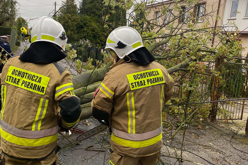 Drzewo runęło na samochód w Rzeszowie