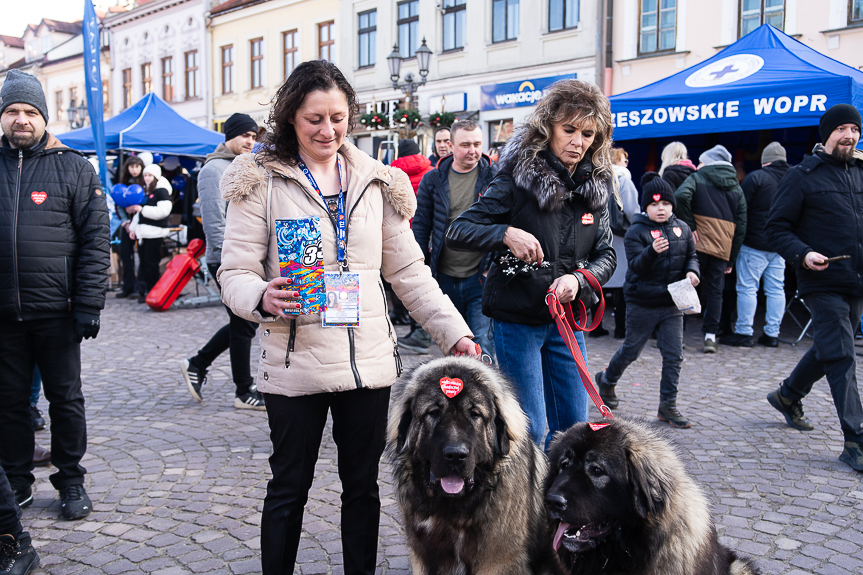 Na rzeszowskim rynku trwa 33. Finał WOŚP